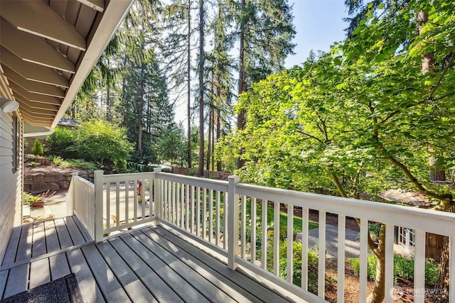 21232 NE 12th St, Sammamish, WA 98074 - photo 22