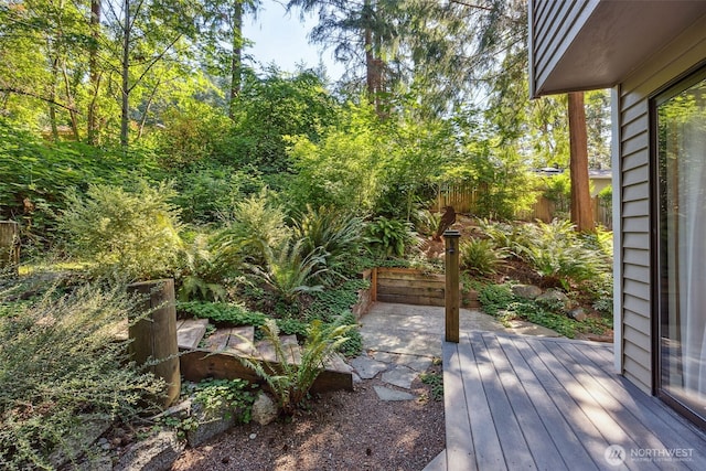 21232 NE 12th St, Sammamish, WA 98074 - photo 25
