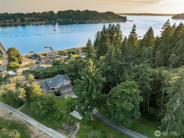 8107 Warren Dr NW, Gig Harbor, WA 98335 - photo 39