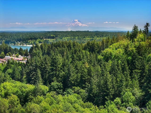 7027 Sunrise Ridge Ln NW, Olympia, WA 98502 - photo 36