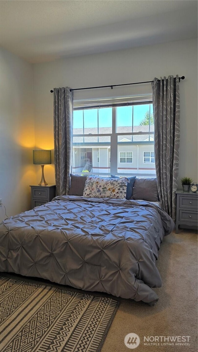 4217 164th St SW Unit B206, Lynnwood, WA 98087 - photo 13