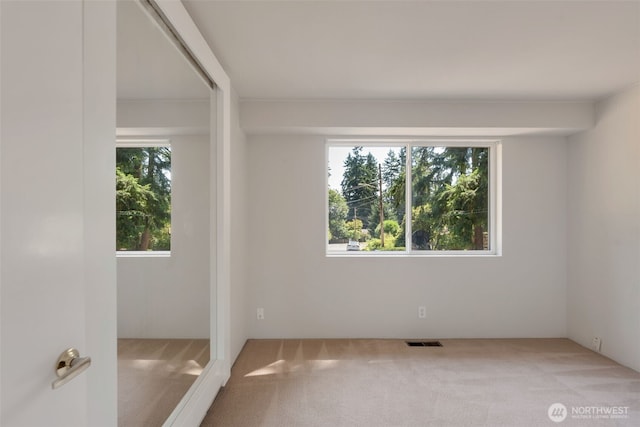 13770 NE 75th Pl, Redmond, WA 98052 - photo 20