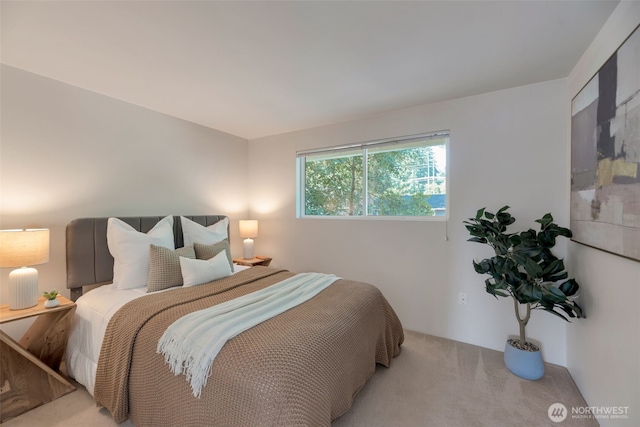 13770 NE 75th Pl, Redmond, WA 98052 - photo 23