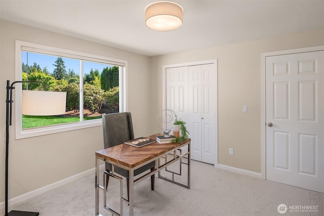 18224 NE 27th St, Redmond, WA 98052 - photo 21