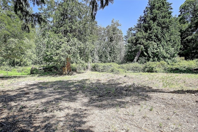 378 Forest Glen Ln, Camano Island, WA 98282 - photo 32