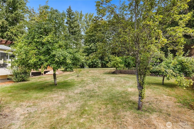 32224 159th Ave SE, Auburn, WA 98092 - photo 28