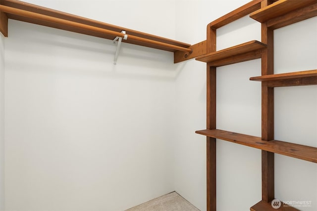 13029 3rd Ave NE Unit D, Seattle, WA 98125 - photo 16