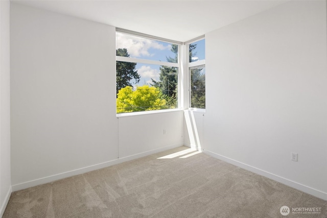 4151 California Ave SW Unit A, Seattle, WA 98116 - photo 23
