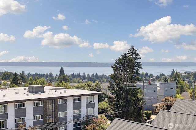 4151 California Ave SW Unit A, Seattle, WA 98116 - photo 30