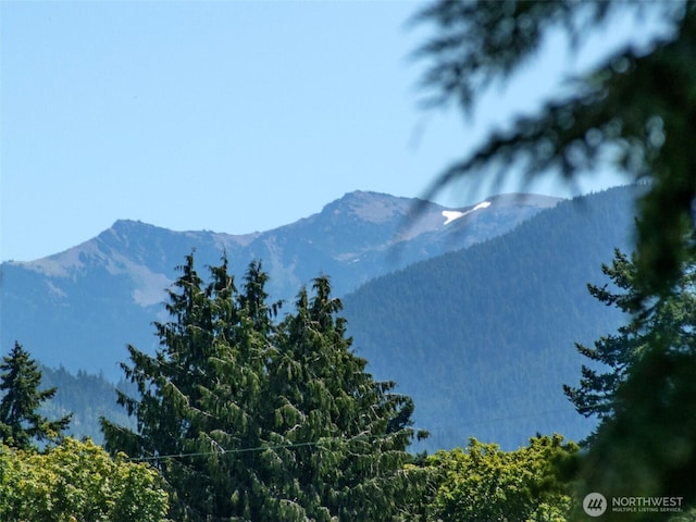 615 W 12th St, Port Angeles, WA 98362 - photo 4