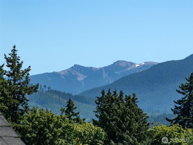 615 W 12th St, Port Angeles, WA 98362 - photo 22