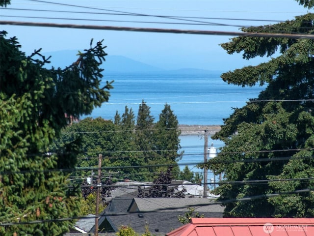 615 W 12th St, Port Angeles, WA 98362 - photo 23