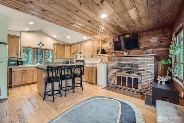 24206 250th Ave SE, Maple Valley, WA 98038 - photo 8