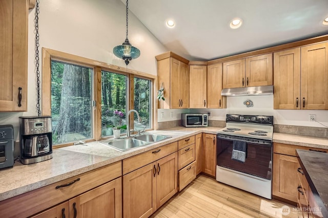 24206 250th Ave SE, Maple Valley, WA 98038 - photo 11
