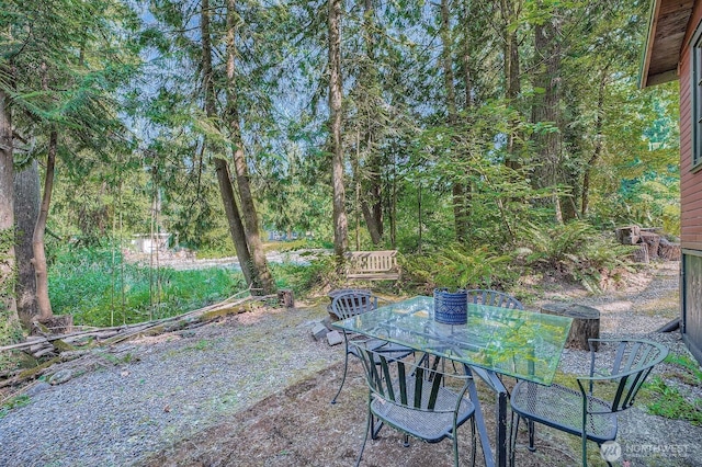 24206 250th Ave SE, Maple Valley, WA 98038 - photo 25
