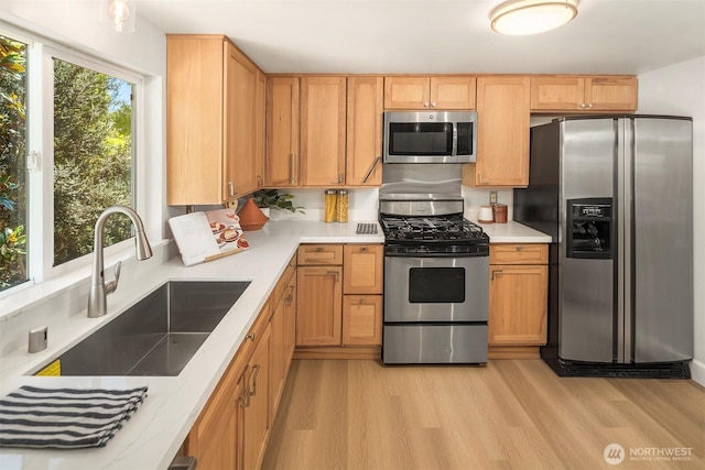 607 NW 84th St, Seattle, WA 98117 - photo 13