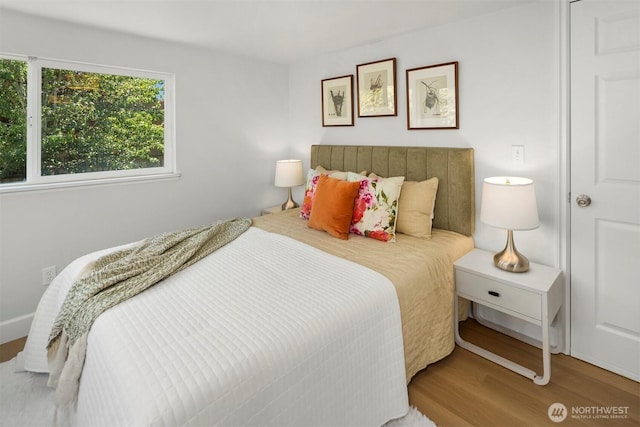 607 NW 84th St, Seattle, WA 98117 - photo 16