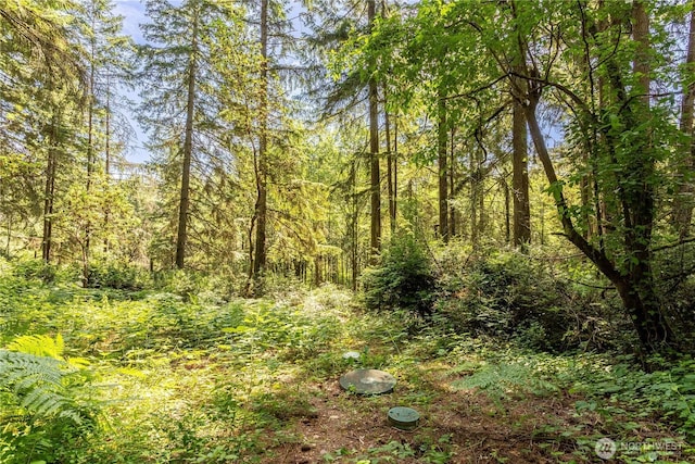 14924 105th Street Ct NW, Gig Harbor, WA 98329 - photo 23