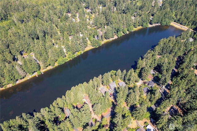 14924 105th Street Ct NW, Gig Harbor, WA 98329 - photo 29
