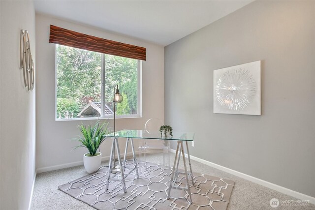 2106 170th Ave E, Lake Tapps, WA 98391 - photo 21
