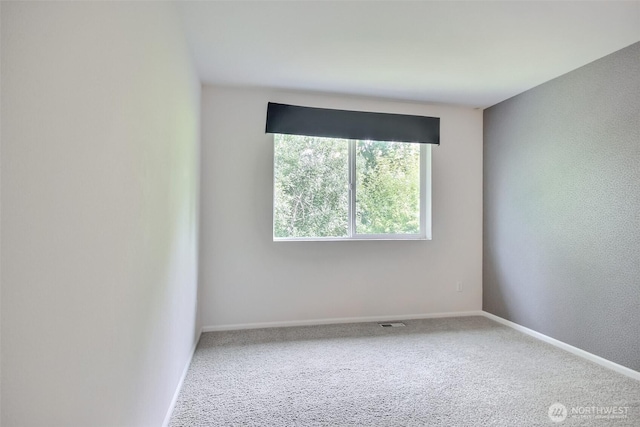 2106 170th Ave E, Lake Tapps, WA 98391 - photo 24