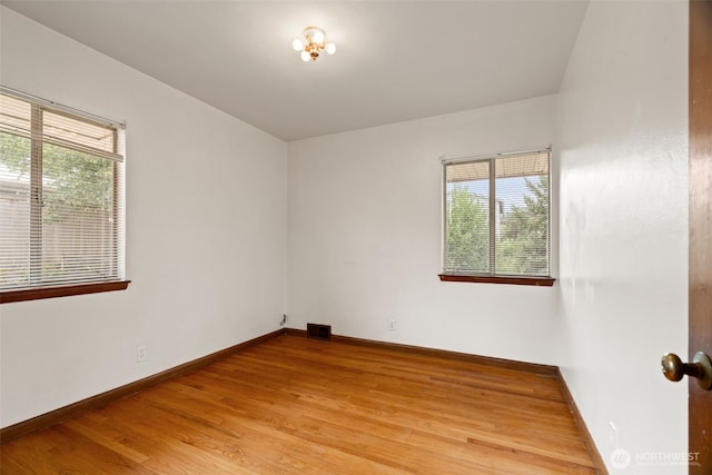 2117 S Bayview St, Seattle, WA 98144 - photo 14