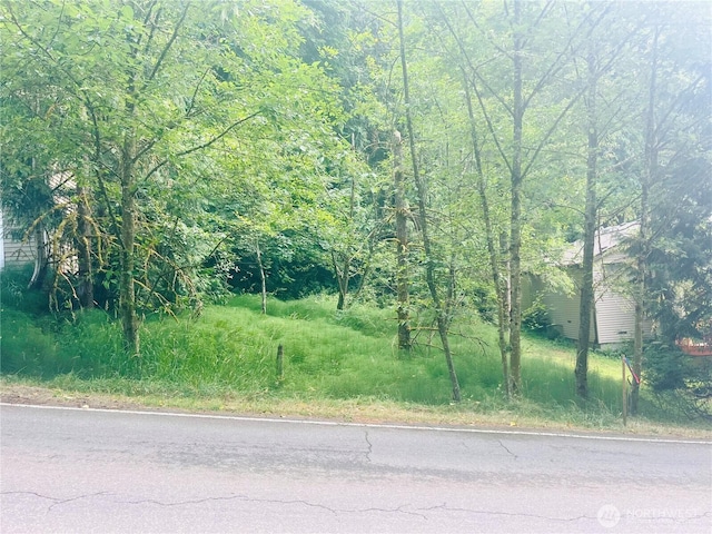 9 Marigold Dr, Bellingham, WA 98229 - photo 1