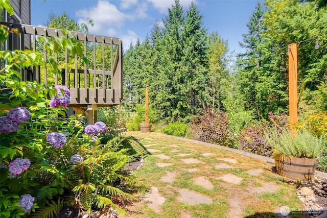 35340 10th Pl SW, Federal Way, WA 98023 - photo 33