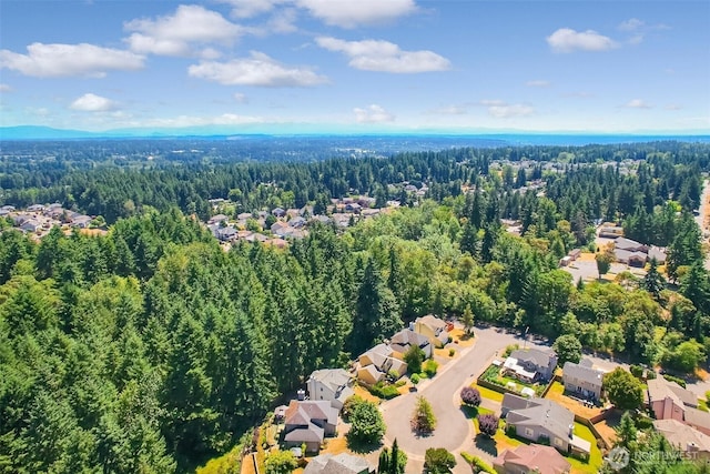 35340 10th Pl SW, Federal Way, WA 98023 - photo 37