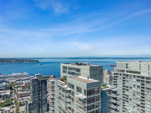 588 Bell St Unit 606S, Seattle, WA 98121 - photo 31