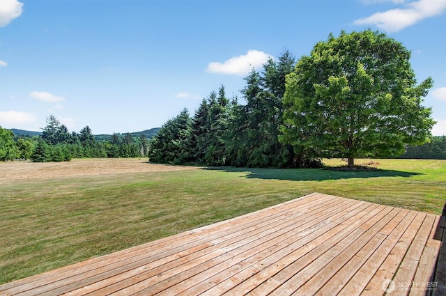 61 Basecamp Rd, Cathlamet, WA 98612 - photo 25