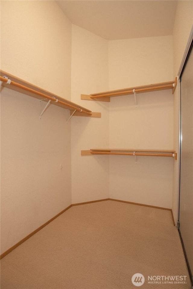 4619 Denton Ln SE, Lacey, WA 98503 - photo 26