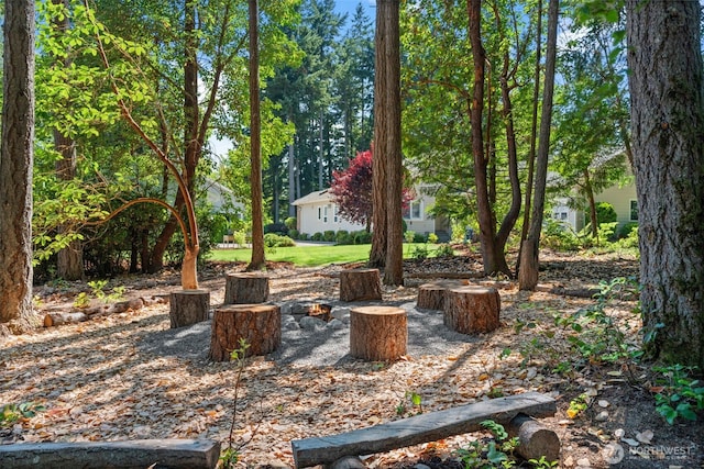 5636 Old Stump Dr NW, Gig Harbor, WA 98332 - photo 35