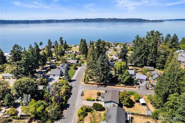 30202 30th Ave SW, Federal Way, WA 98023 - photo 4