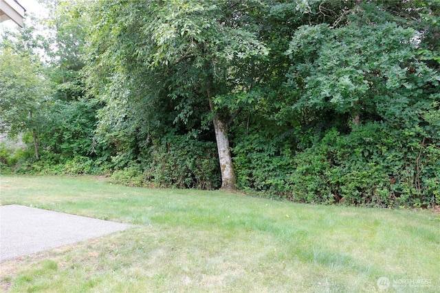 2360 SE Plymouth Way, Port Orchard, WA 98366 - photo 34