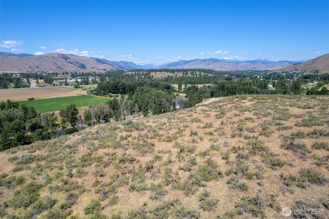 54 Wilson Rd, Winthrop, WA 98862 - photo 39