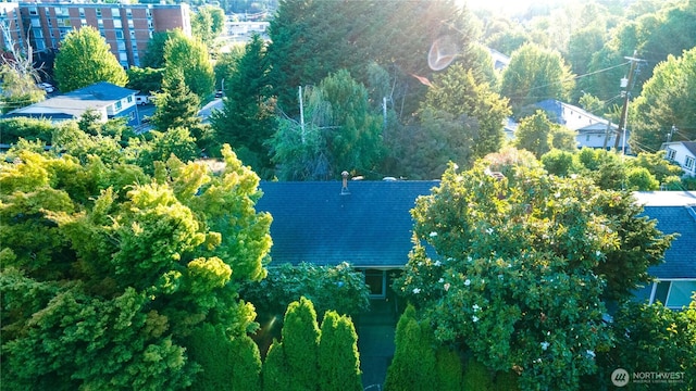 9413 26th Ave SW, Seattle, WA 98106 - photo 32