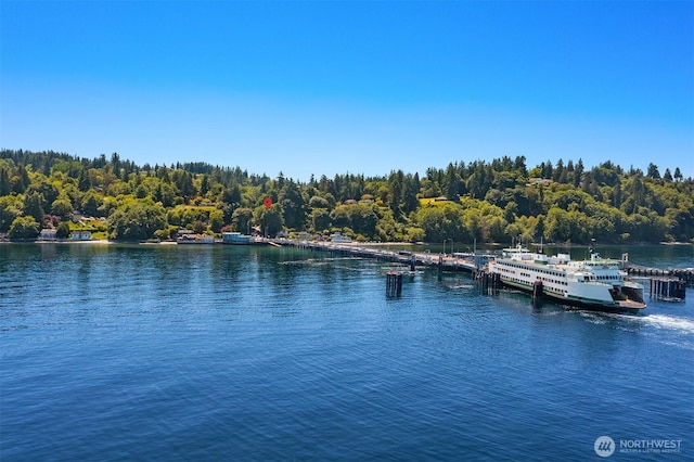 10915 103rd Ave SW, Vashon, WA 98070 - photo 29