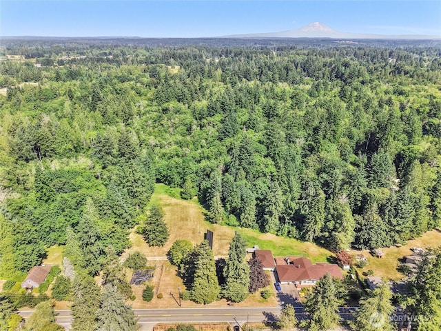 4116 Libby Rd, Olympia, WA 98506 - photo 38