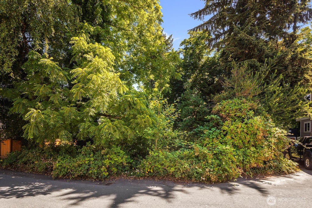 672 Lind Ave NW, Renton, WA 98057 - photo 3