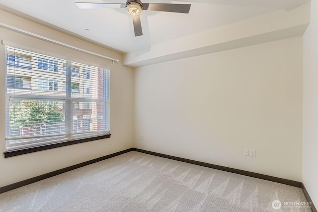 413 NE 70th St Unit 207, Seattle, WA 98115 - photo 16