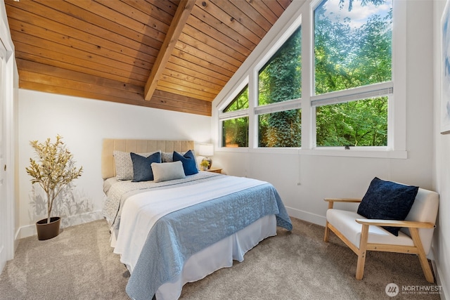 17110 SE 43rd St, Bellevue, WA 98006 - photo 12