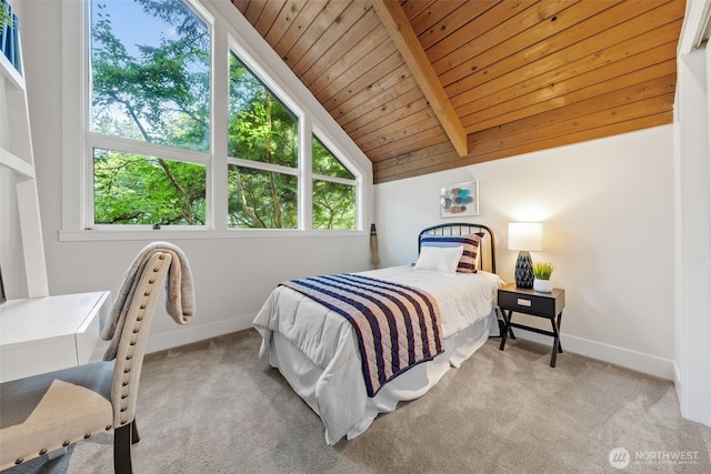 17110 SE 43rd St, Bellevue, WA 98006 - photo 13