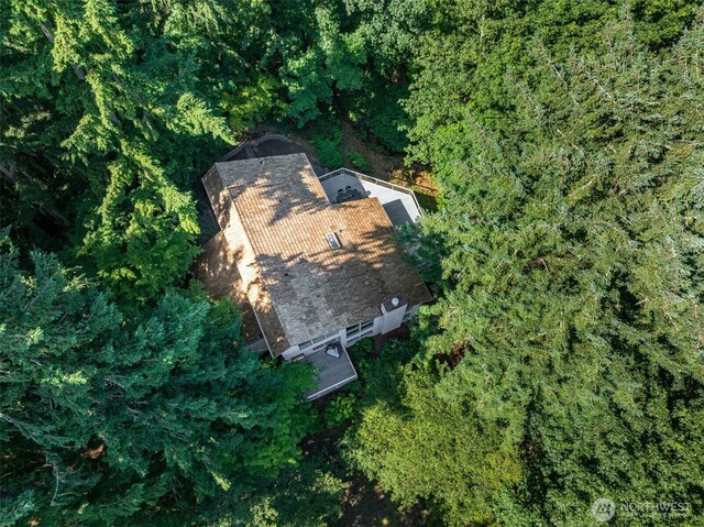 17110 SE 43rd St, Bellevue, WA 98006 - photo 33