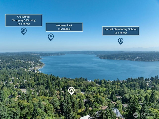 17110 SE 43rd St, Bellevue, WA 98006 - photo 36