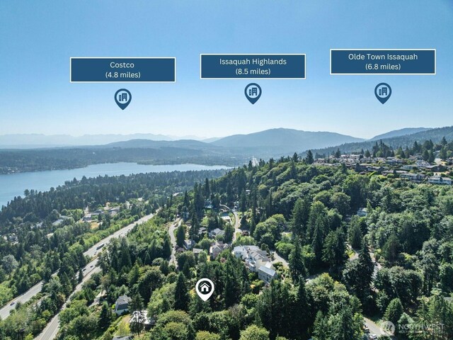 17110 SE 43rd St, Bellevue, WA 98006 - photo 37