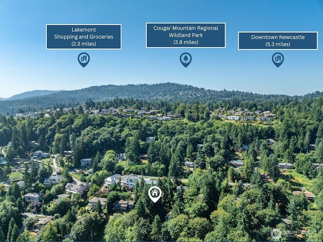 17110 SE 43rd St, Bellevue, WA 98006 - photo 38