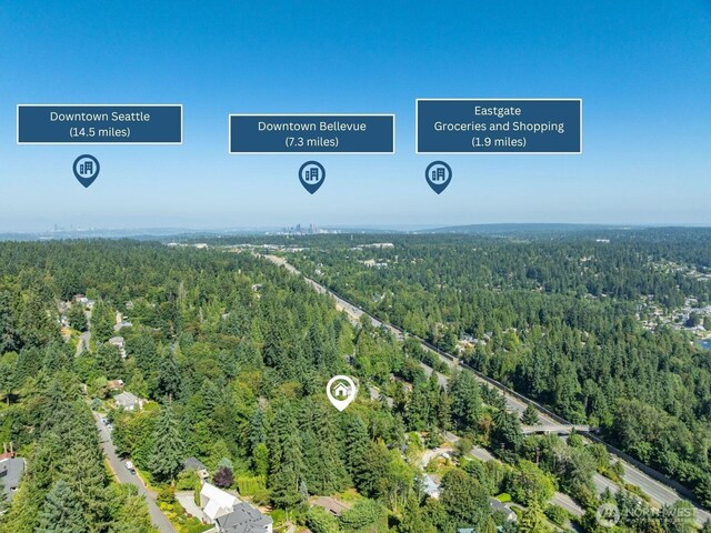17110 SE 43rd St, Bellevue, WA 98006 - photo 39