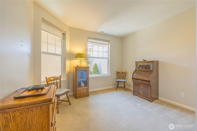 110 Jennies Blvd, Sequim, WA 98382 - photo 21