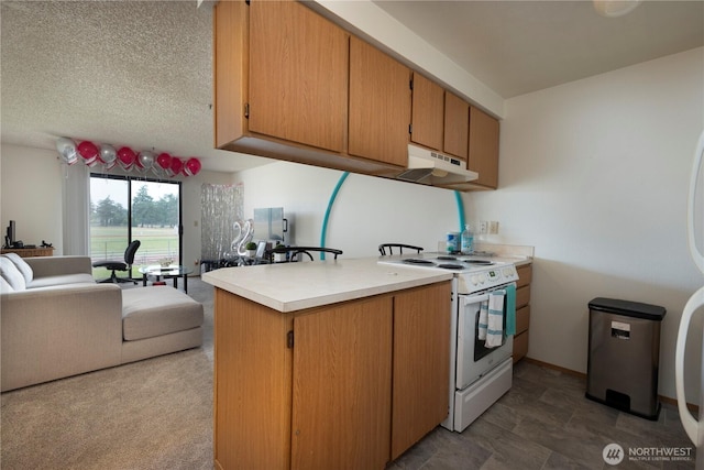 726 E Whidbey Ave, Oak Harbor, WA 98277 - photo 10